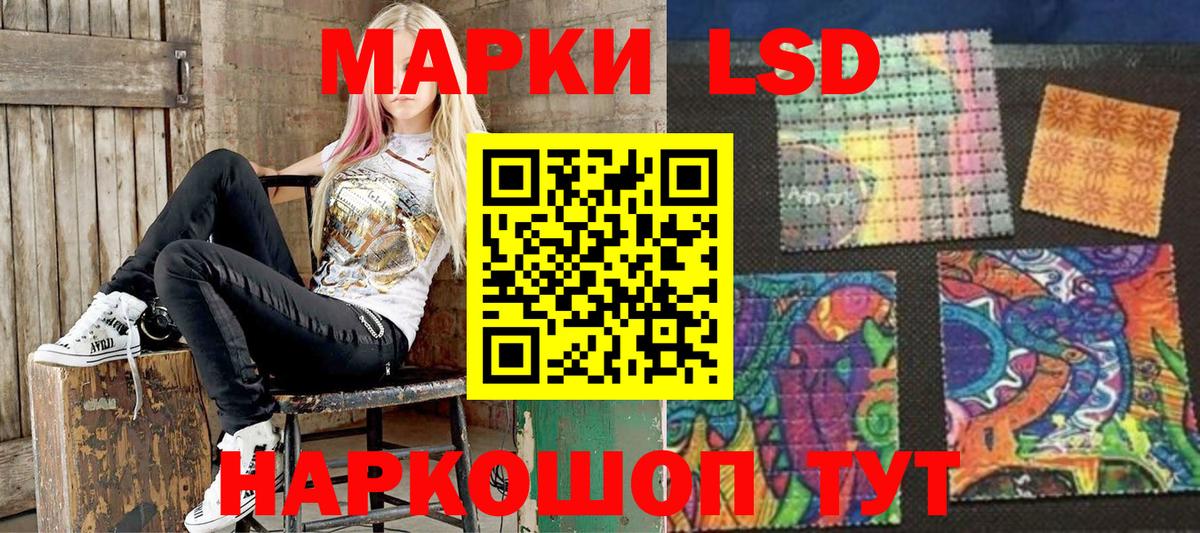Псилоцибиновые грибы Чита