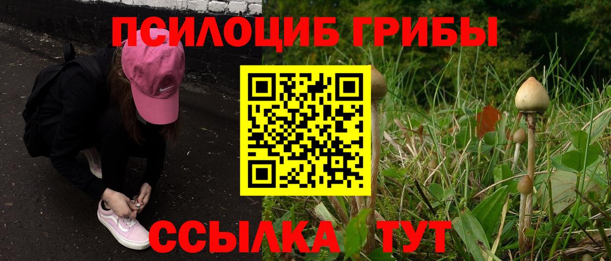 Чита  Псилоцибиновые грибы Magic Shrooms  Вход с VPN  Галлюциногенные грибы GOLDEN TEACHER 